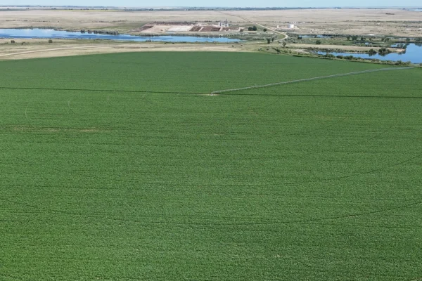 DJI_20250701145122_0327_D_1440