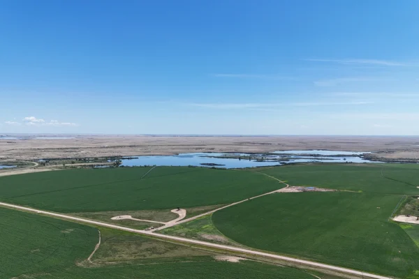 DJI_20250701145420_0333_D_1440