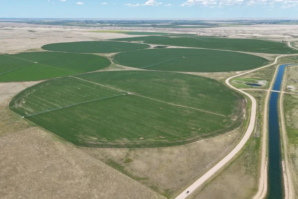 DJI_20250701154245_0355_D_1440-angle